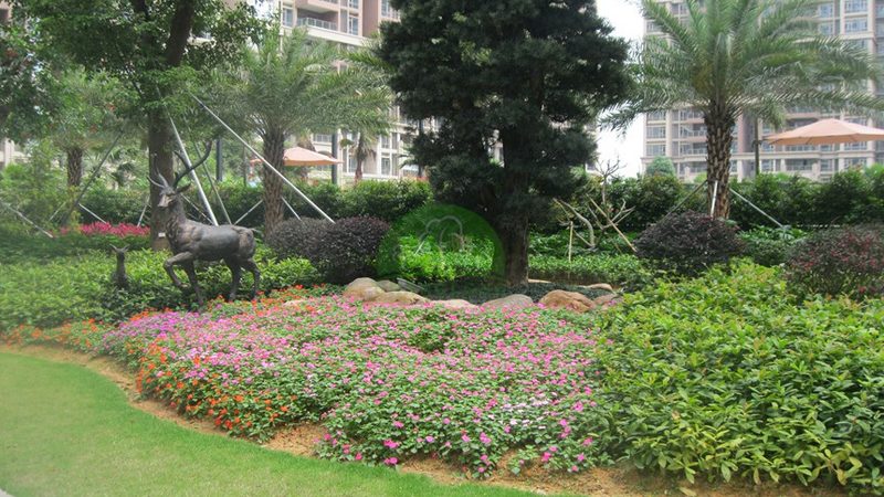 植物墙灌溉系统：如何选择合适的厂家**