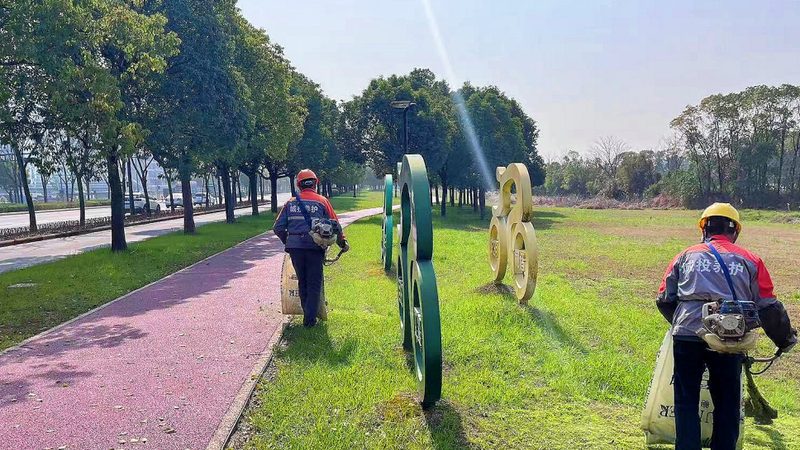 高端写字楼绿植租摆，如何打造健康生态空间？**