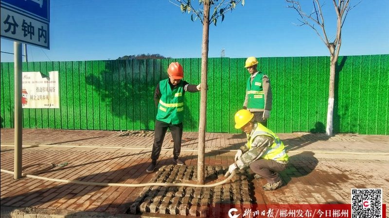 屋顶草坪养护注意事项：从生根到繁茂的守护之道