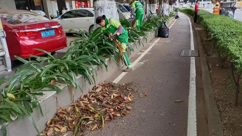 苏州庭院设计公司收费标准解析：揭秘影响因素与合理范围