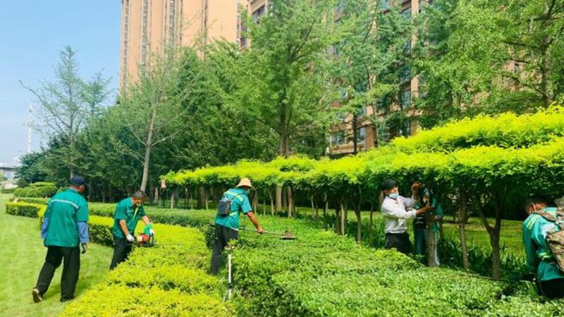 小区公园景观造价多少钱一平？揭秘影响因素与预算规划
