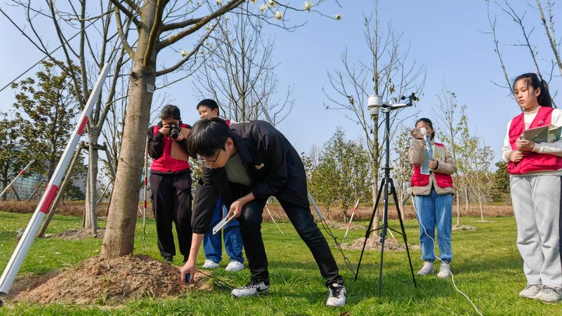 室内植物租摆，如何制定合理的报价方案？**